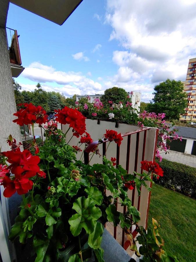 Loft House Sopot Apartament Apartment Bagian luar foto
